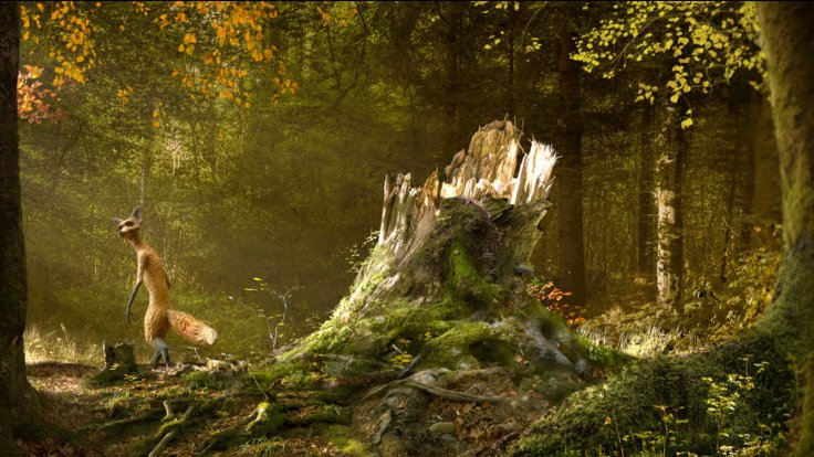 The Fox and the Bird, Sam Guillaume, Fred Guillaume, CH 2018
