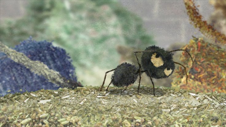 Chinti, Natalia Mirzoyan, RU 2012