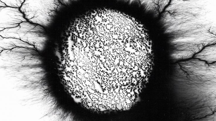 Energif, Thorsten Fleisch, DE 2015