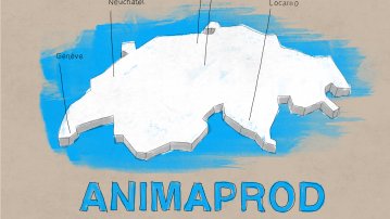 FOCAL-Workshop ANIMAPROD «Bits and Bytes»