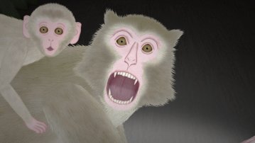 NIGHT BUS, Joe Hsieh, TW 2020