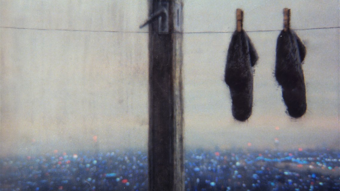 The Socks in the Big City