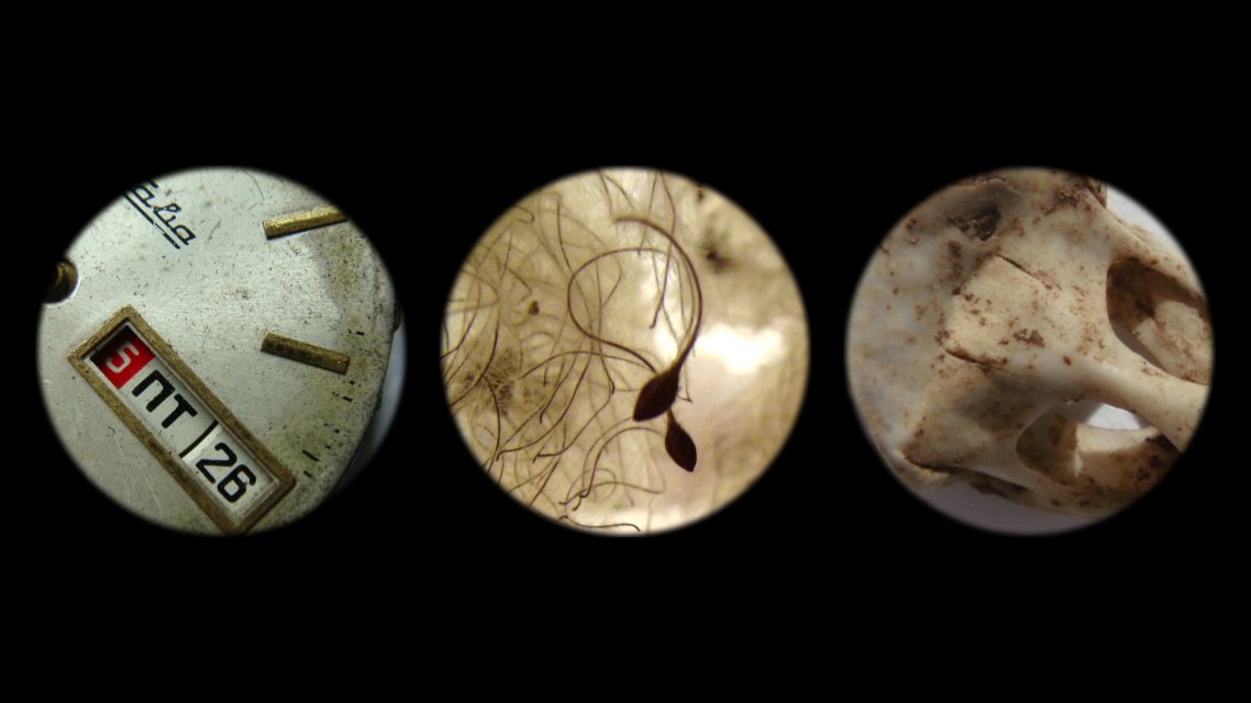 Fortgang, Otto Alder, CH 2016