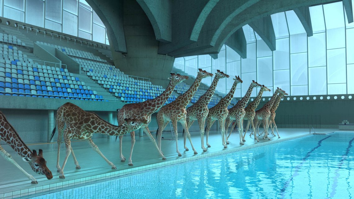 5m80, Nicolas Deveaux, FR 2012