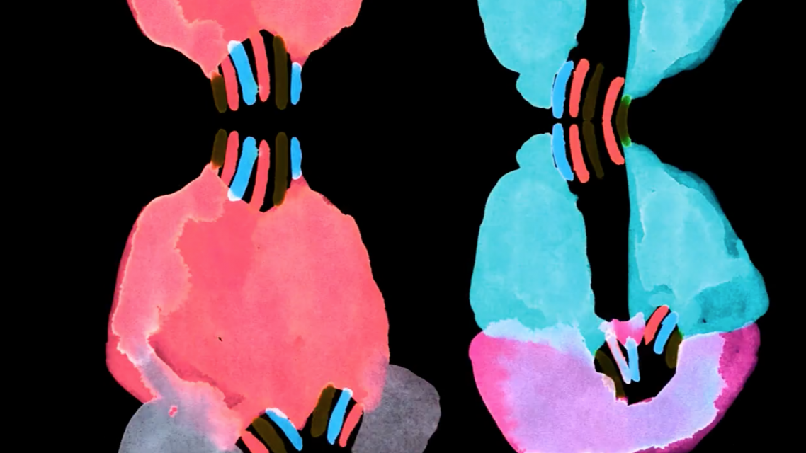 Hickory (Kool A. D.), Youth Experimental Studio, PE 2015