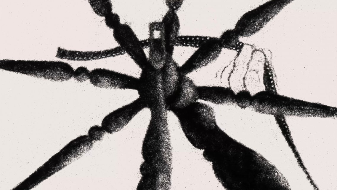 Chloé Van Herzeele, Anne-Sophie Girault & Clémence Bouchereau, FR 2019