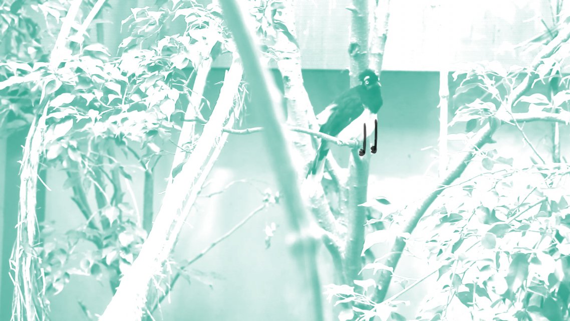 Instinct, Frederic Siegel, CH 2014