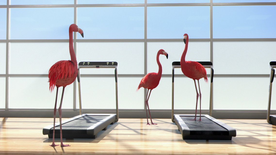 ATHLETICUS: Salle d'entraînement
