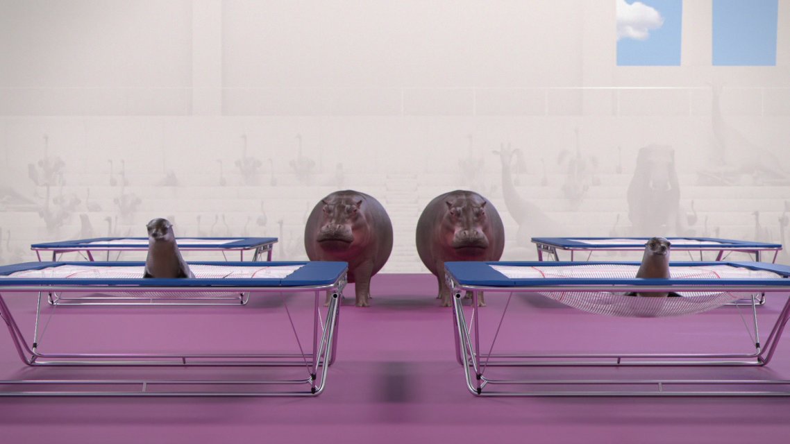 ATHLETICUS : Trampoline synchronisé