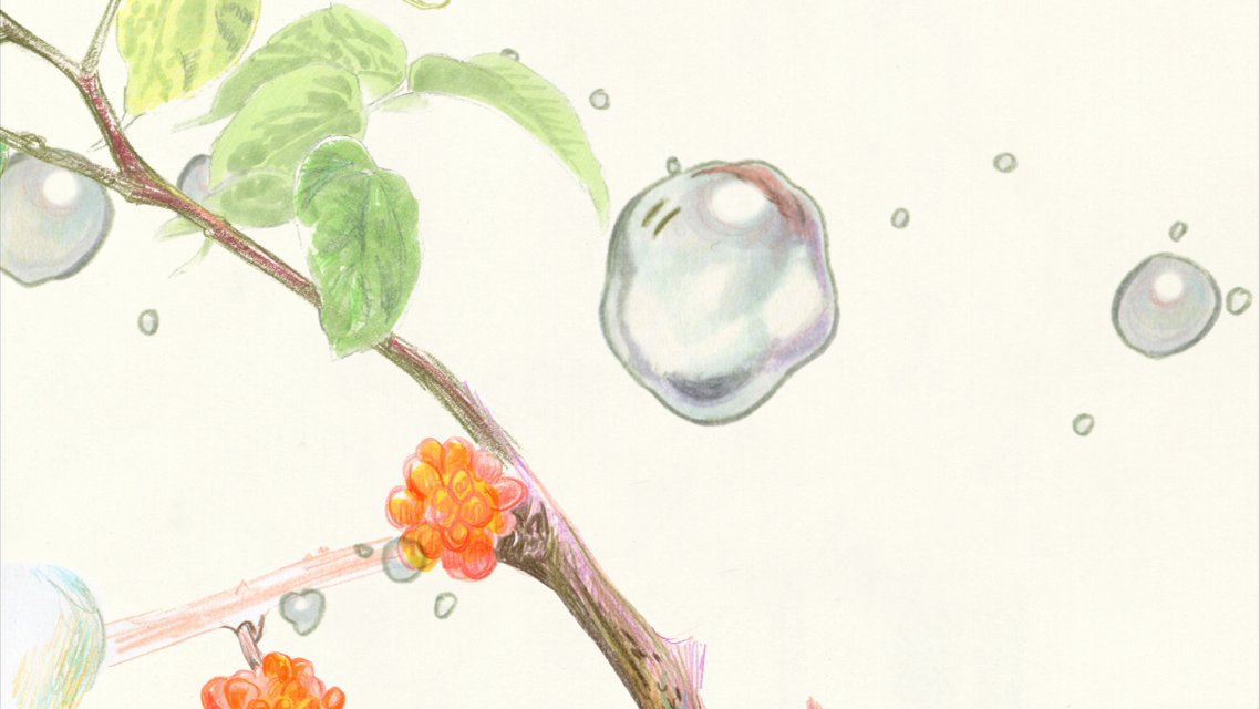 Rain Drops