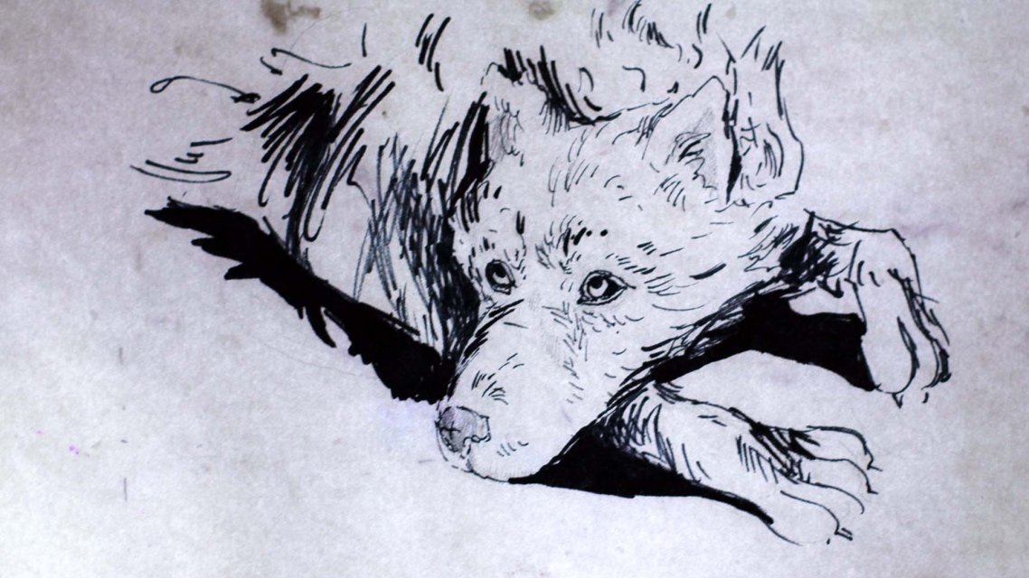 Dog's Field, Michalina Musialik, PL 2020