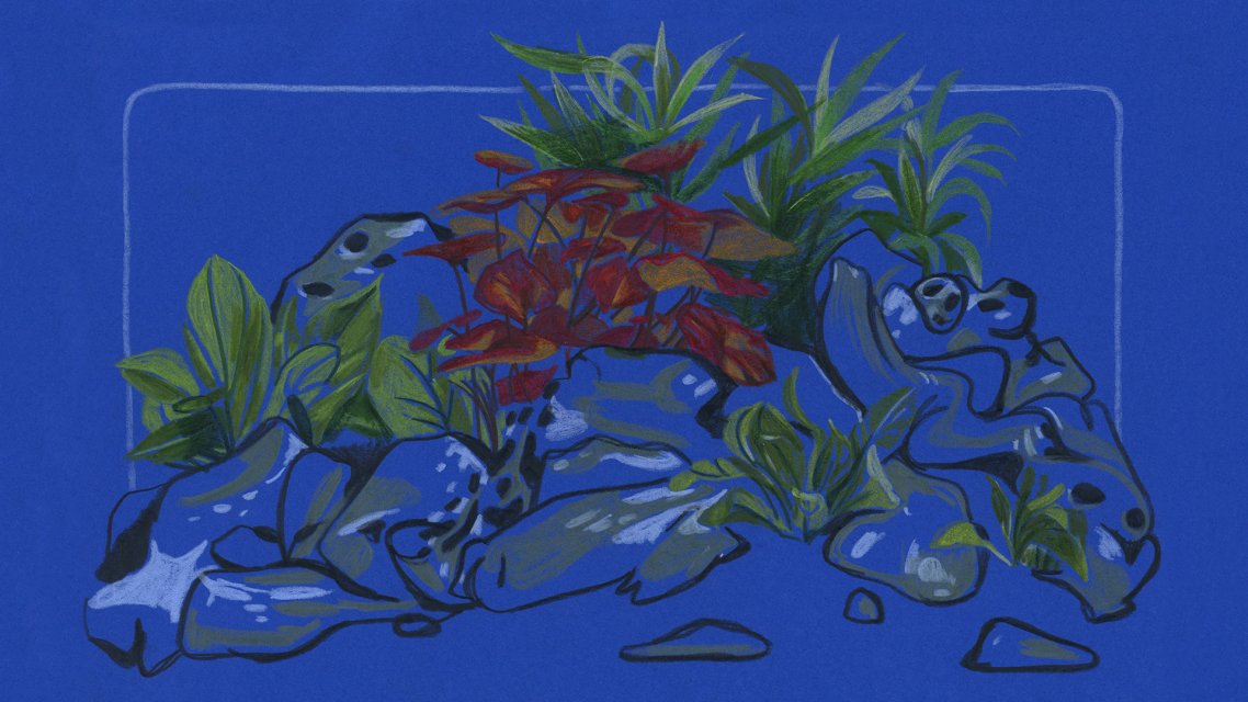 La confiture de papillons, Shih-Yen Huang, FR 2021