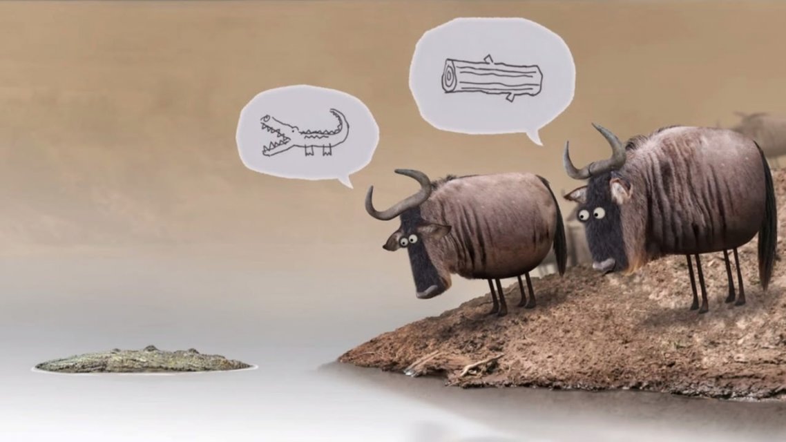 Wildebeest