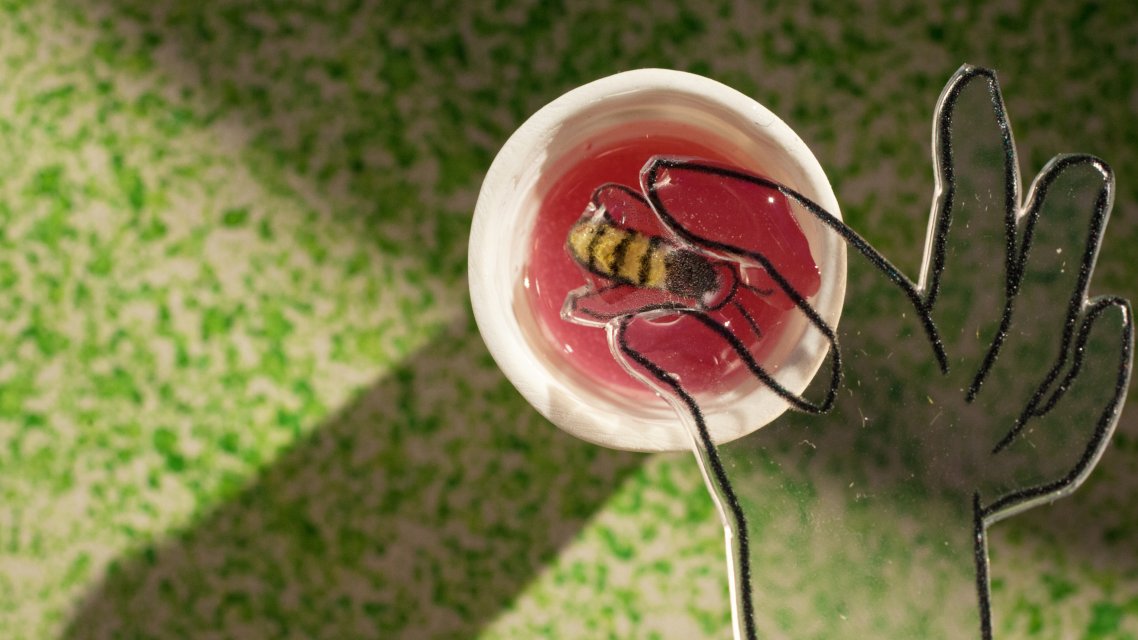 Bloeistraat 11 Bloeistraat 11