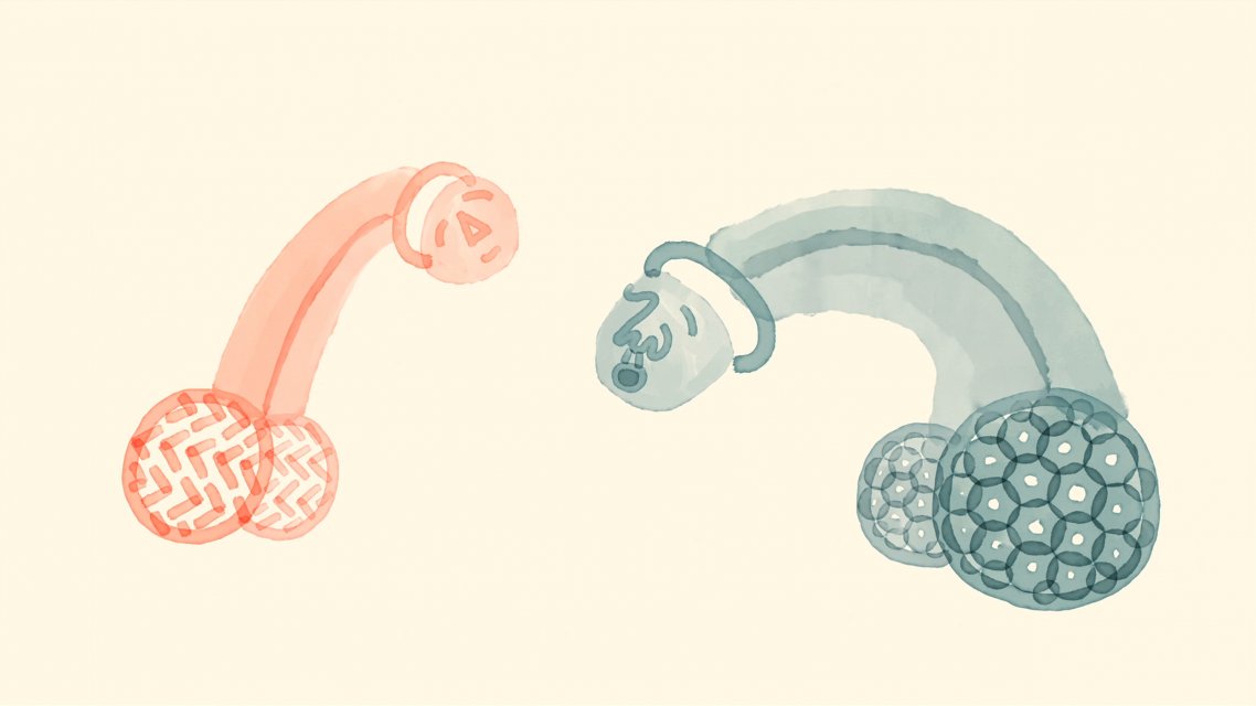 Private Parts