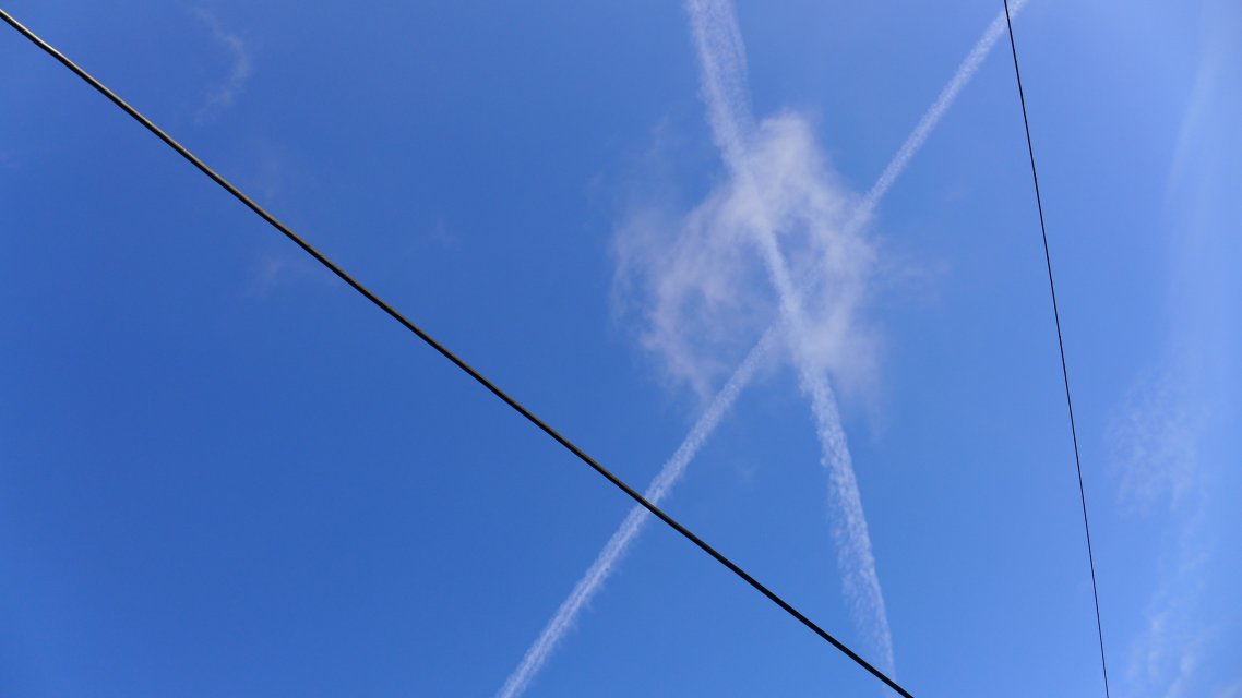 Scarred Skies