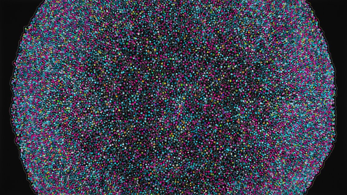 Order from Chaos (Max Cooper)